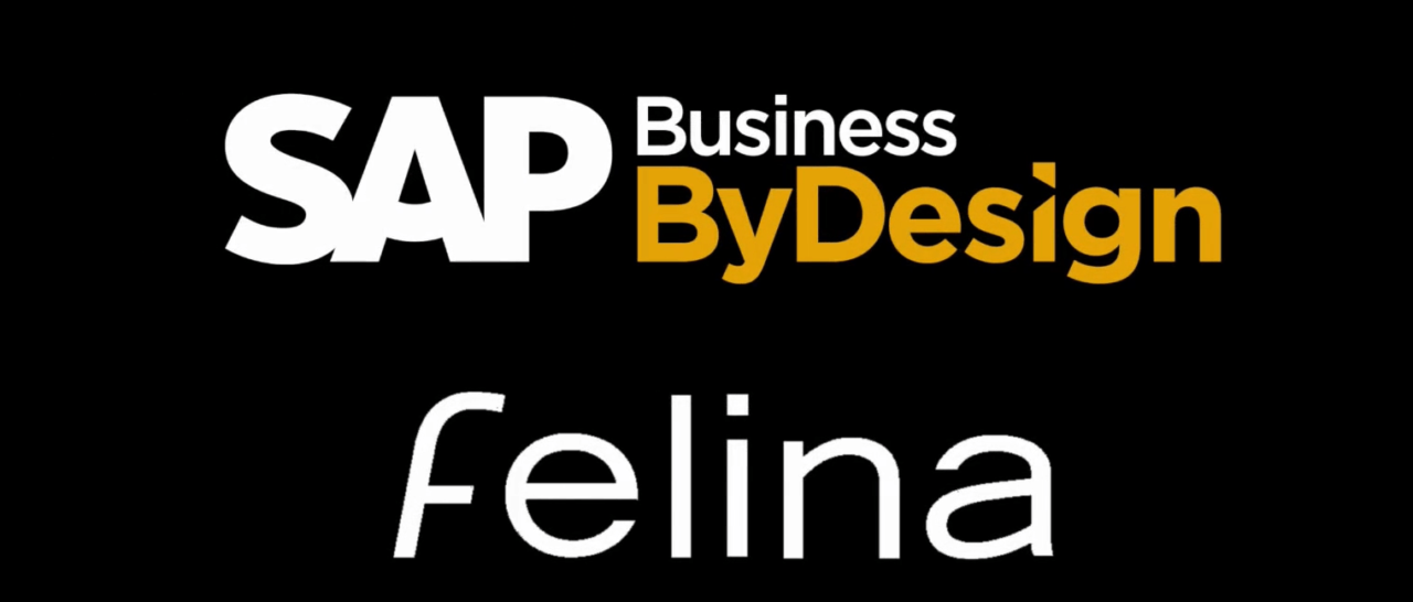 Felina Kft. SAP Business ByDesign