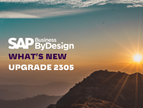 SAP Business ByDesign @#)%