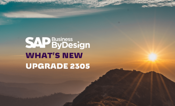 SAP Business ByDesign @#)%